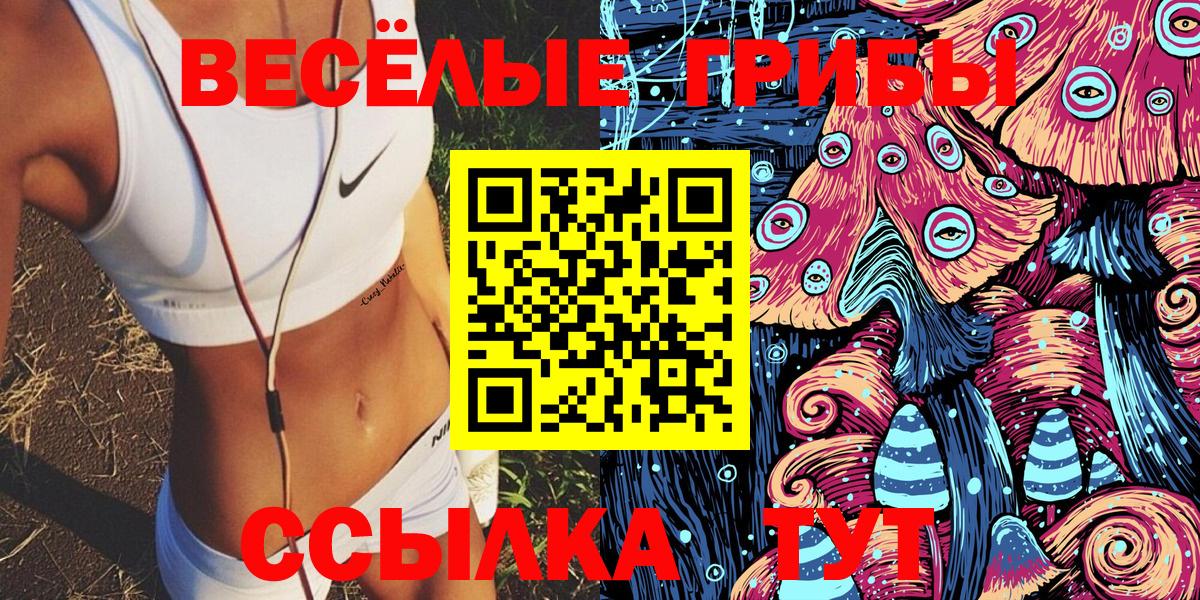 Псилоцибиновые грибы GOLDEN TEACHER Лосино-Петровский